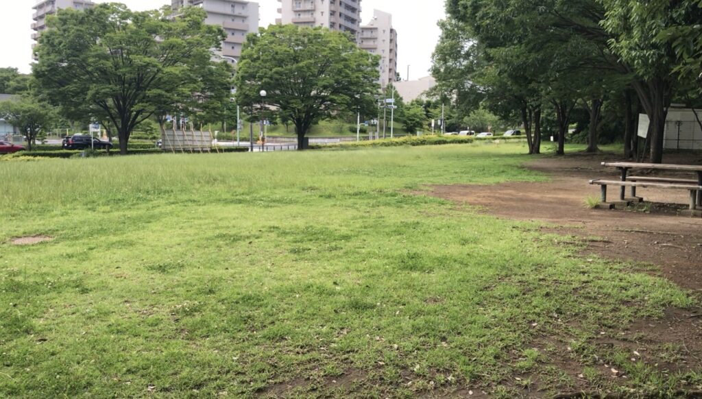 【東京都稲城市：若葉台公園】徹底紹介！｜無料デイキャンプ＆BBQが楽しめる駅近な穴場公園♪