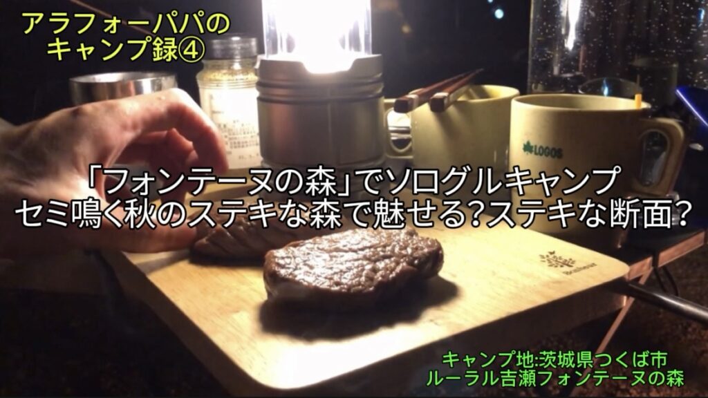 【アラフォーパパのキャンプ録④】つくば「フォンテーヌの森」でソログルキャンプ！｜セミ鳴く秋のステキな森で魅せるステキな断面（？）
